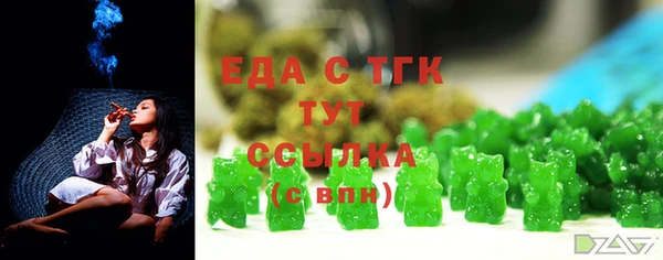 индика Беломорск