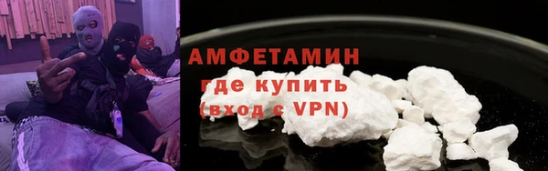 индика Беломорск