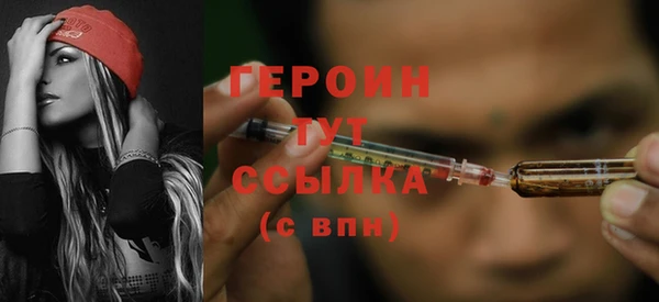 индика Беломорск