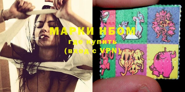 индика Беломорск