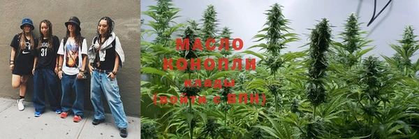 индика Беломорск
