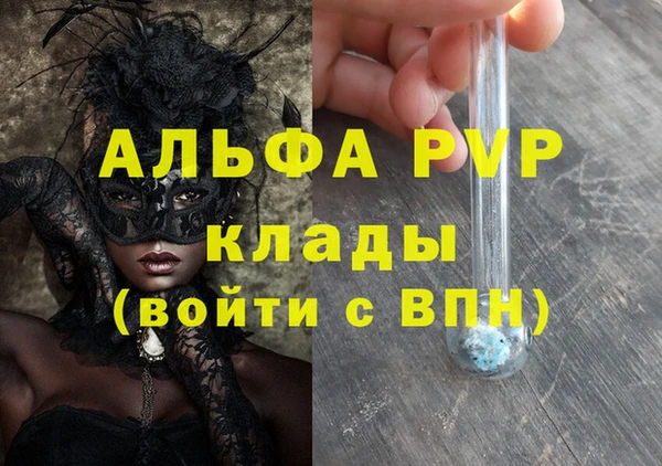 индика Беломорск