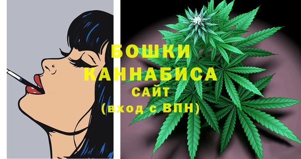 индика Беломорск
