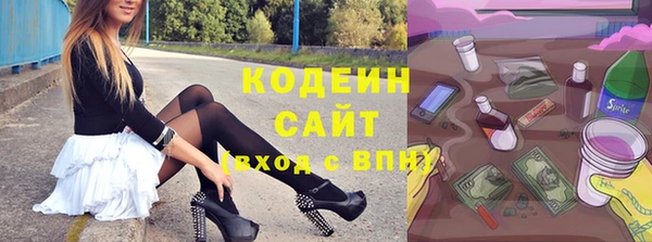 индика Беломорск