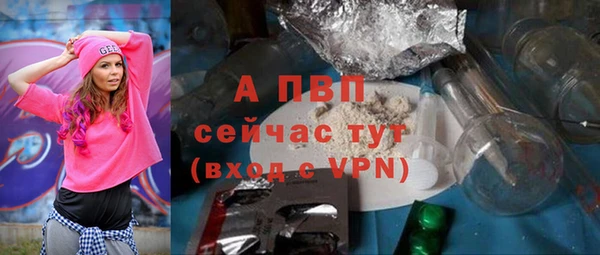 индика Беломорск
