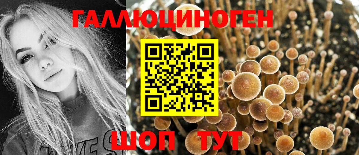 Галлюциногенные грибы Cubensis Кунгур